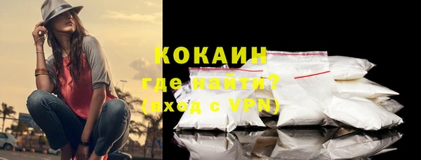 бошки Весьегонск