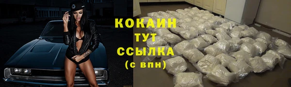 молекула духа Пересвет