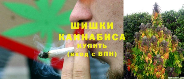 молекула духа Пересвет