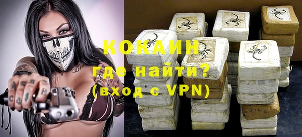 молекула духа Пересвет