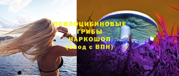 ALPHA PVP Переславль-Залесский