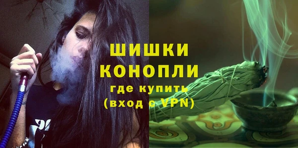 молекула духа Пересвет