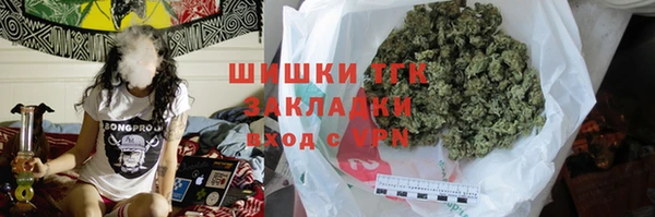 молекула духа Пересвет