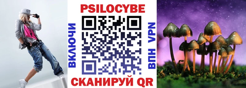 Галлюциногенные грибы Psilocybe  мега ТОР  Большой Камень  купить наркотик 