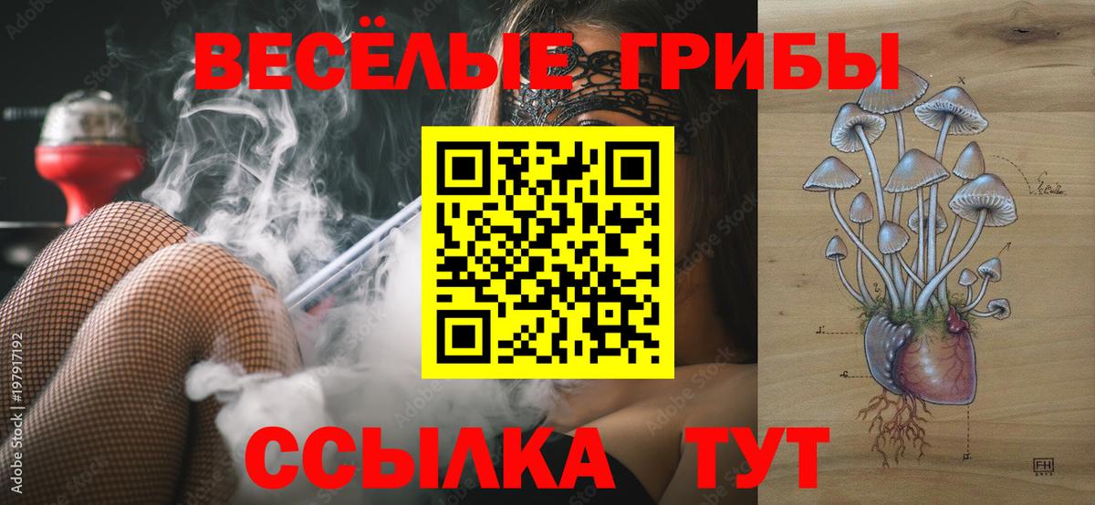 Псилоцибиновые грибы мицелий  Псилоцибиновые грибы мицелий  Большой Камень 