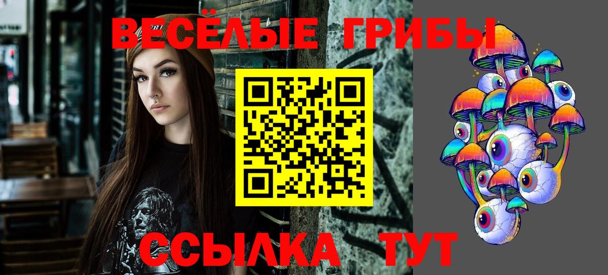 Галлюциногенные грибы GOLDEN TEACHER  Псилоцибиновые грибы ЛСД  Большой Камень  Вход с VPN 