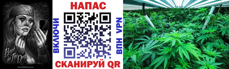 Марихуана OG Kush  Большой Камень 